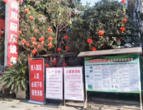 疫情无情人有情，我为抗疫做贡献！